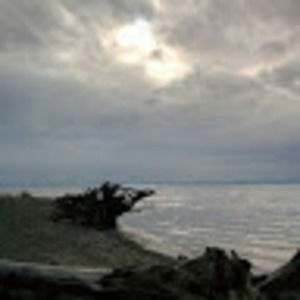 Meet your Posher, Zelly